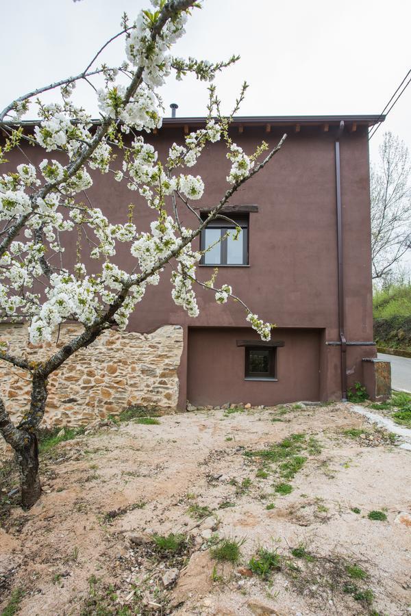 Maison d'hôtes Os Feleitos à Orellán Extérieur photo